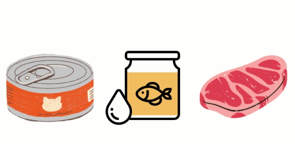 猫掉毛严重吃什么?