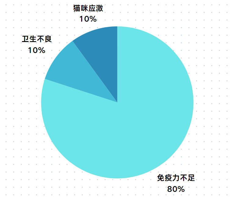 小猫得了猫癣怎么办？