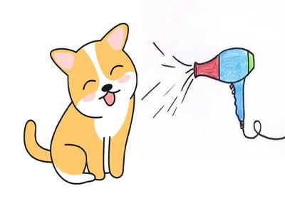 为什么狗狗洗澡后一直抓挠身体?90%的主人不知道的秘密