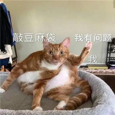 硫磺皂治猫癣靠谱吗？揭秘猫咪皮肤护理的正确方法
