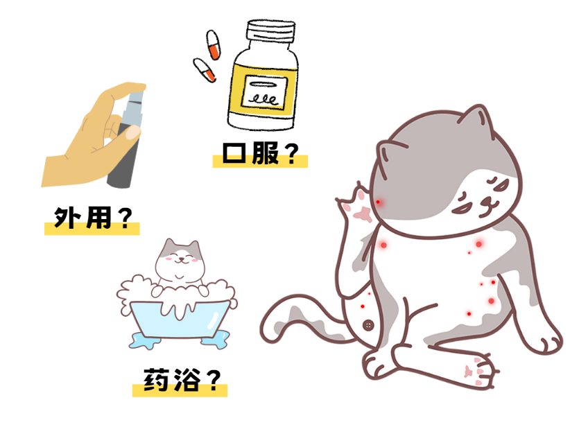 猫皮肤病要吃什么药?