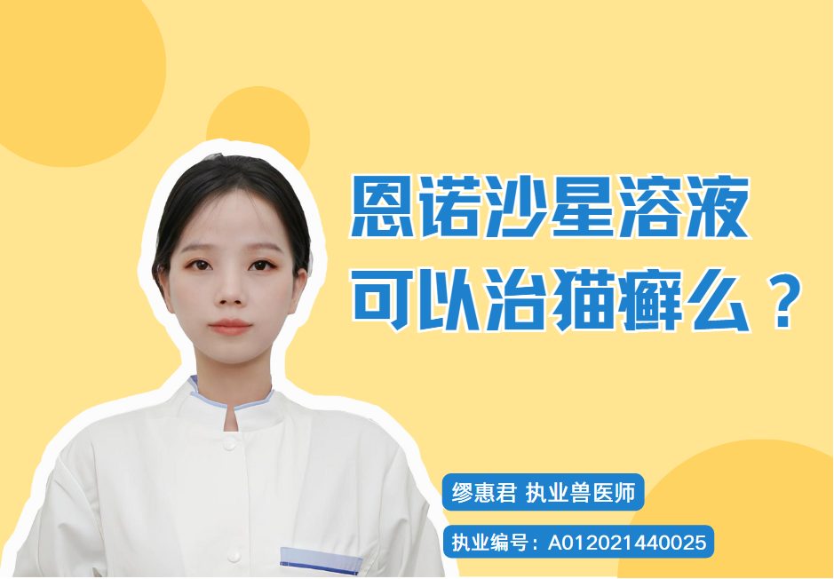 恩诺沙星溶液可以治猫癣吗?