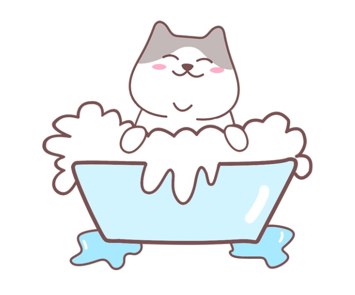 猫癣怎么治疗？