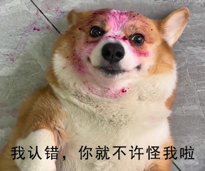 狗狗嘴巴周围红红的用什么药治疗?