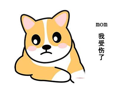 为什么狗狗洗澡后一直抓挠身体?90%的主人不知道的秘密