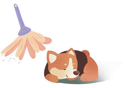 揭秘!狗狗过敏时的最佳食物清单