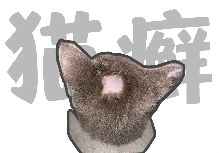 猫咪头部长癣怎么办?