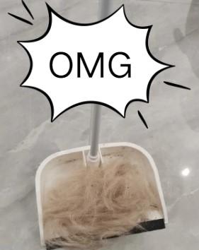 告别柯基脱毛烦恼,秘籍大公开!