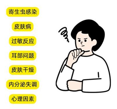狗狗频繁抓痒的常见原因与应对方法