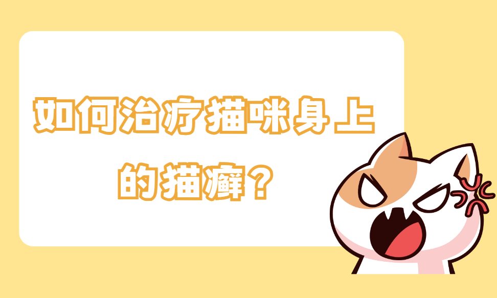 如何治疗猫咪身上的猫癣？