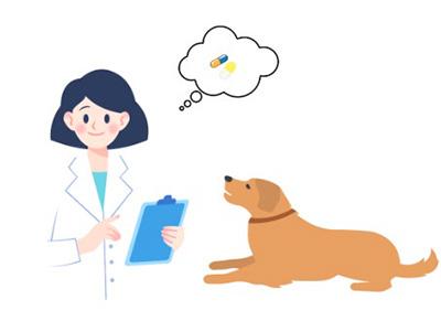 当心!爱犬皮肤红痒背后的秘密