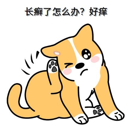 狗狗皮癣不再愁，对症用药是关键