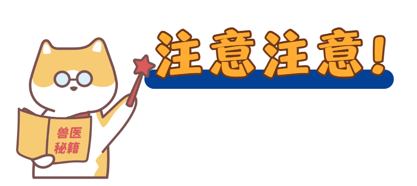 猫癣怎么治疗？