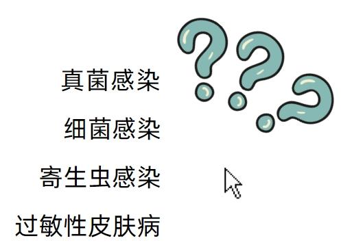 狗狗有皮肤病一直挠怎么办？