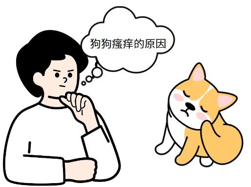 狗狗皮肤瘙痒怎么办？专业治疗与日常护理指南