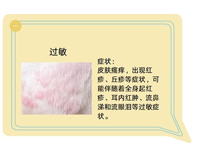 告别狗狗皮肤病，高效喷药守护爱宠健康！