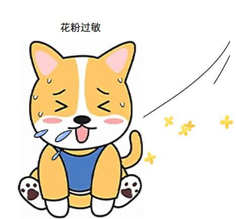 当心!爱犬皮肤红痒背后的秘密