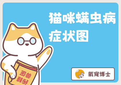 猫咪螨虫感染症状与治疗方法全解析，告别瘙痒困扰
