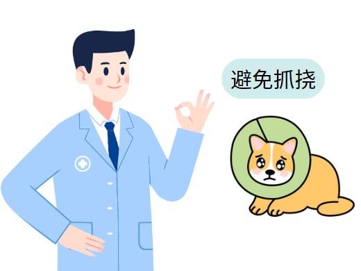 如何通过正确用药膏解决狗狗皮肤病困扰？