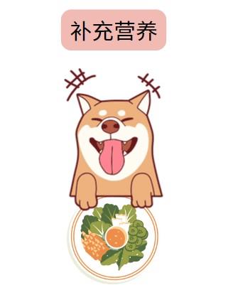 狗狗皮肤病掉毛用什么药治疗比较好？