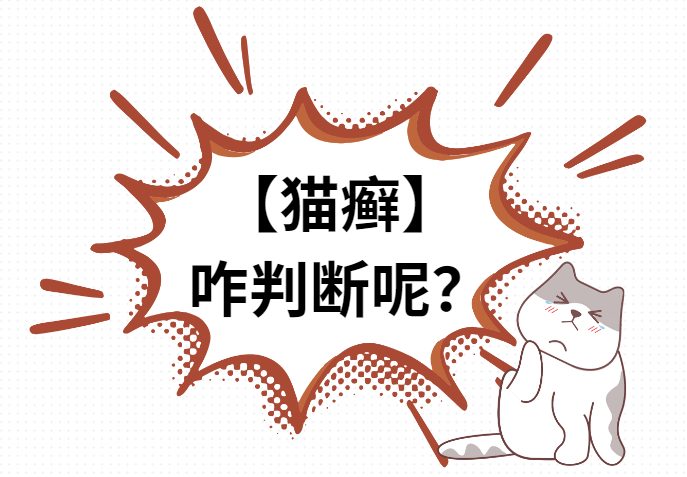 如何判断猫咪是否感染猫癣？症状识别与专业诊断方法解析